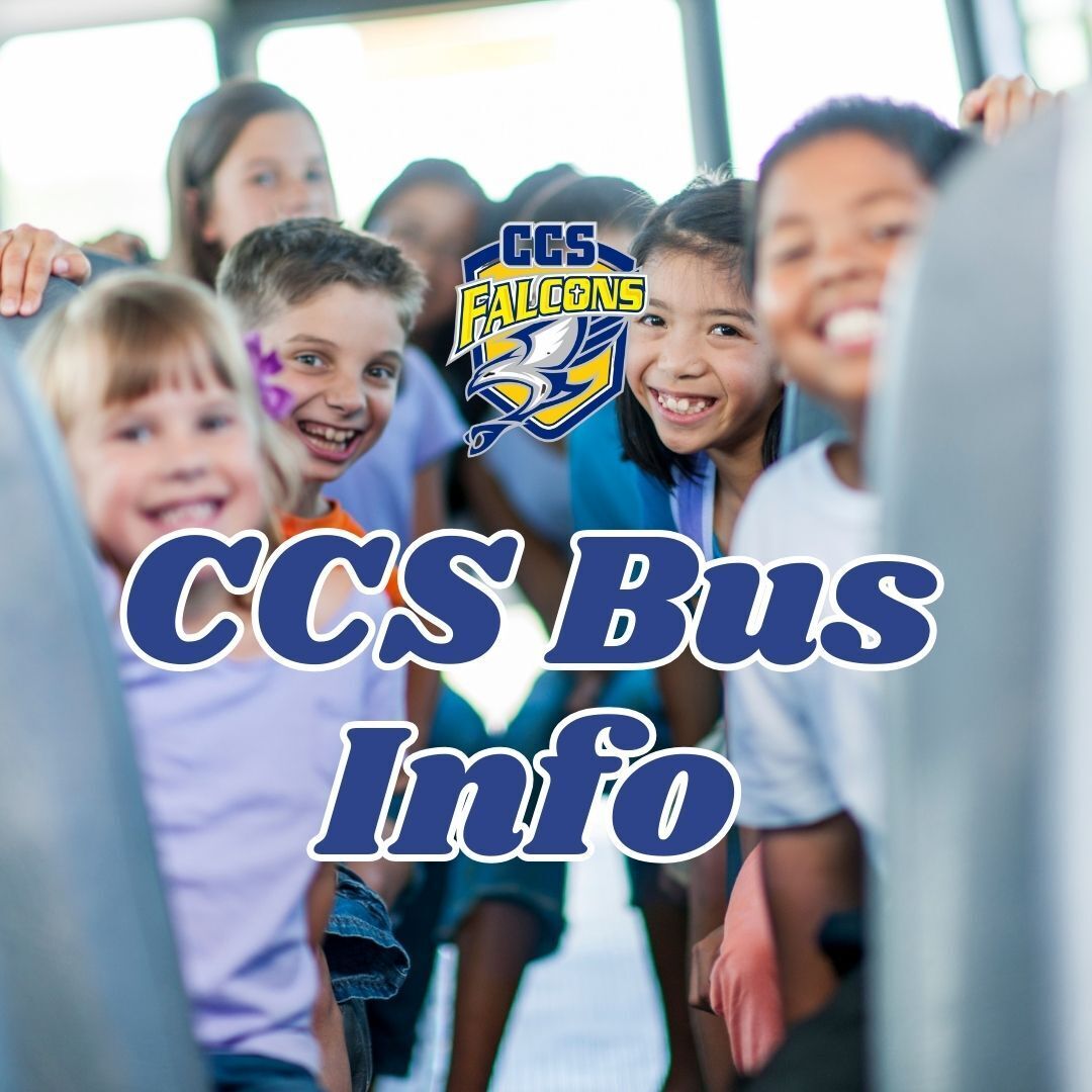 CCS Bus Info